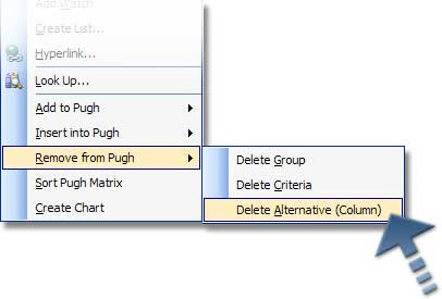 Remove Alternative Menu